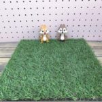 1/18　庭作り（1）