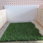 1/18　庭作り（4）